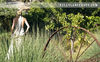 santa-barbara-wedding-photography_adams_10.jpg